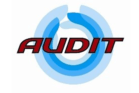 Optimal Audit 2 optimal audit