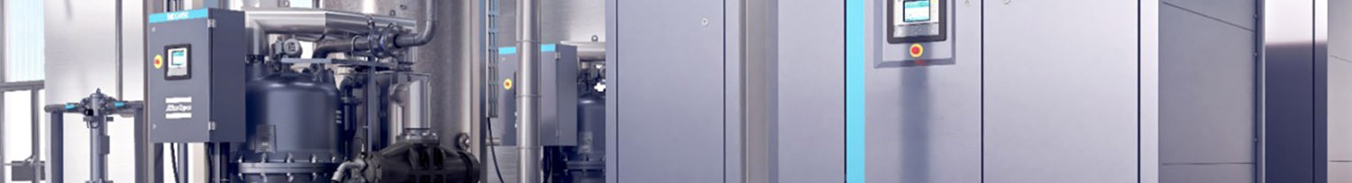 Optimizing Compressed Air System for Energy Efficiency 7 Optimizing Compressed Air System for Energy Efficiency-optimise training for energy manager