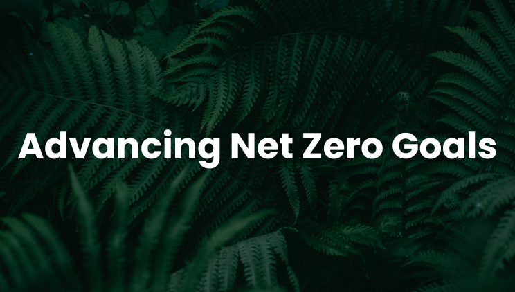 Advancing Net Zero Goals – Over 1000 Professionals Engaged in 2024 8