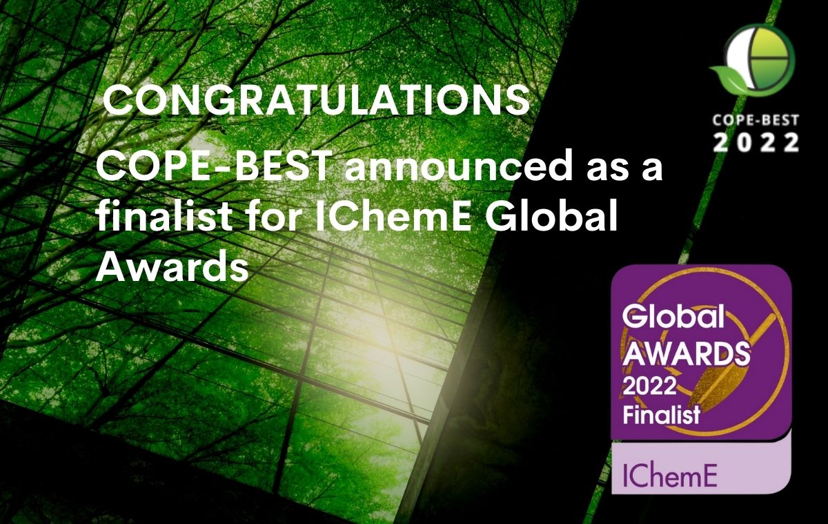 COPE-BEST announced as the finalist for IChemE Global Awards 2022 17